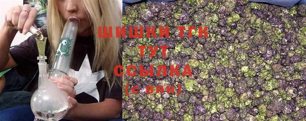 хмурый Инсар
