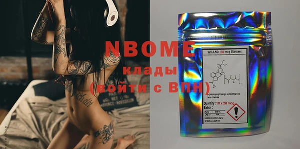 хмурый Инсар