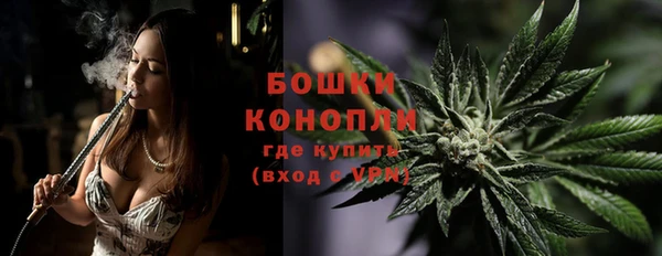 ПСИЛОЦИБИНОВЫЕ ГРИБЫ Инта