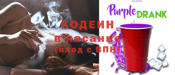 хмурый Инсар