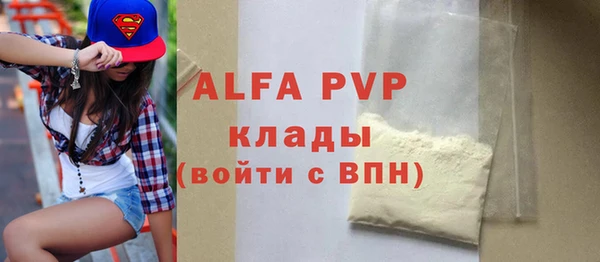 хмурый Инсар