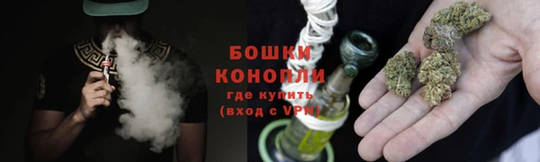 ПСИЛОЦИБИНОВЫЕ ГРИБЫ Инта