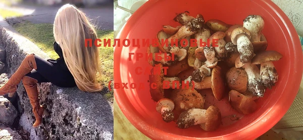 ПСИЛОЦИБИНОВЫЕ ГРИБЫ Инта