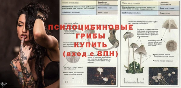 хмурый Инсар