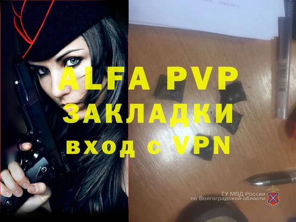 ПСИЛОЦИБИНОВЫЕ ГРИБЫ Инта