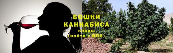 хмурый Инсар