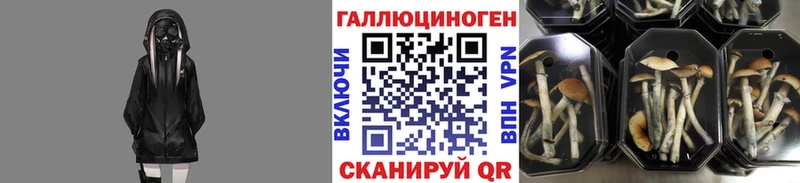 Купить  Владимир  Галлюциногенные грибы ЛСД 